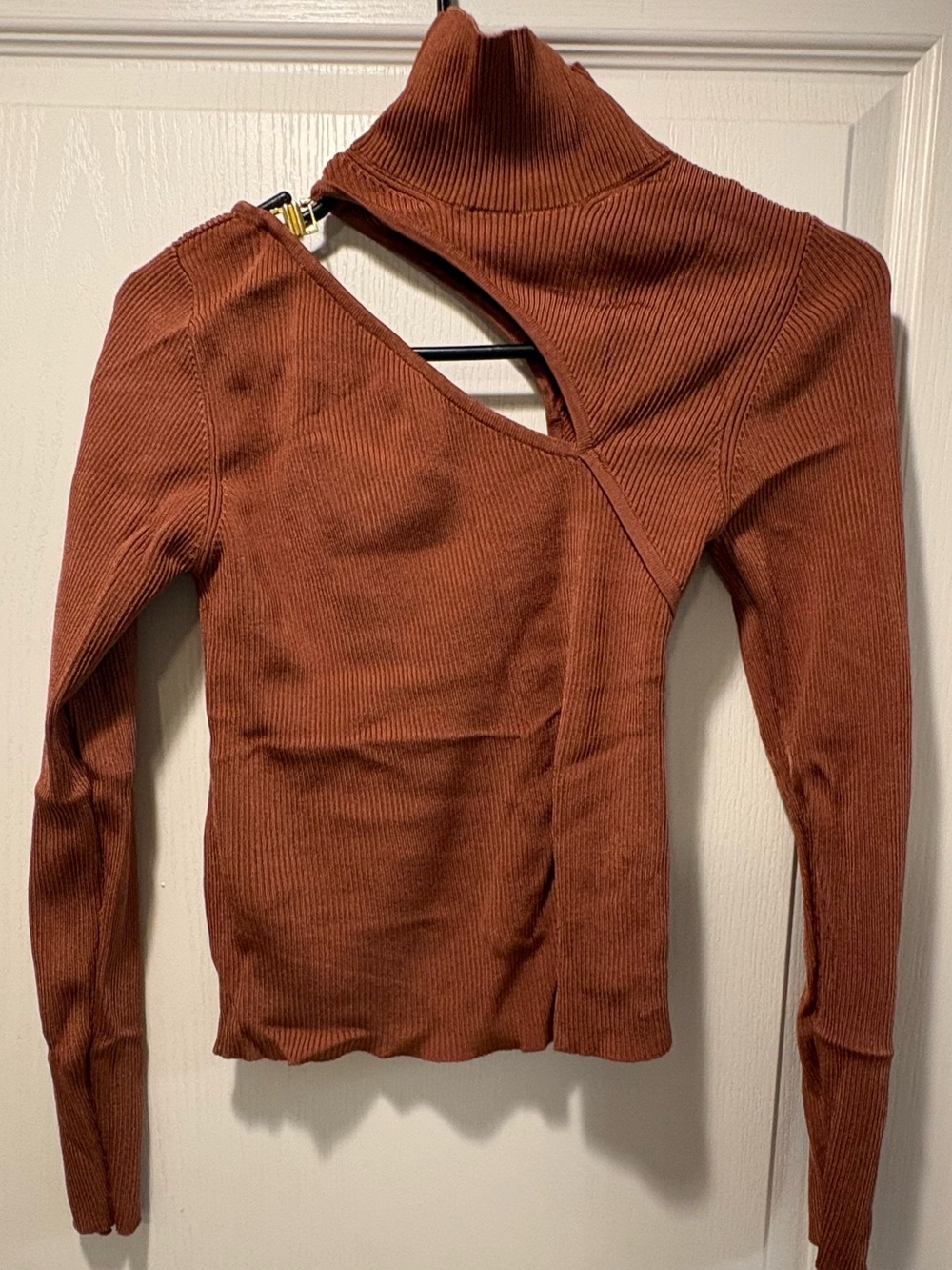 Zara Ribbed Asymmetrical Cutout Turtleneck - Rust Brown